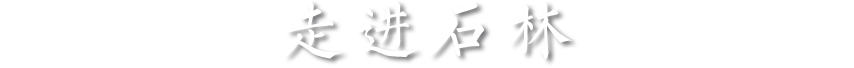 석림으로 들어가다